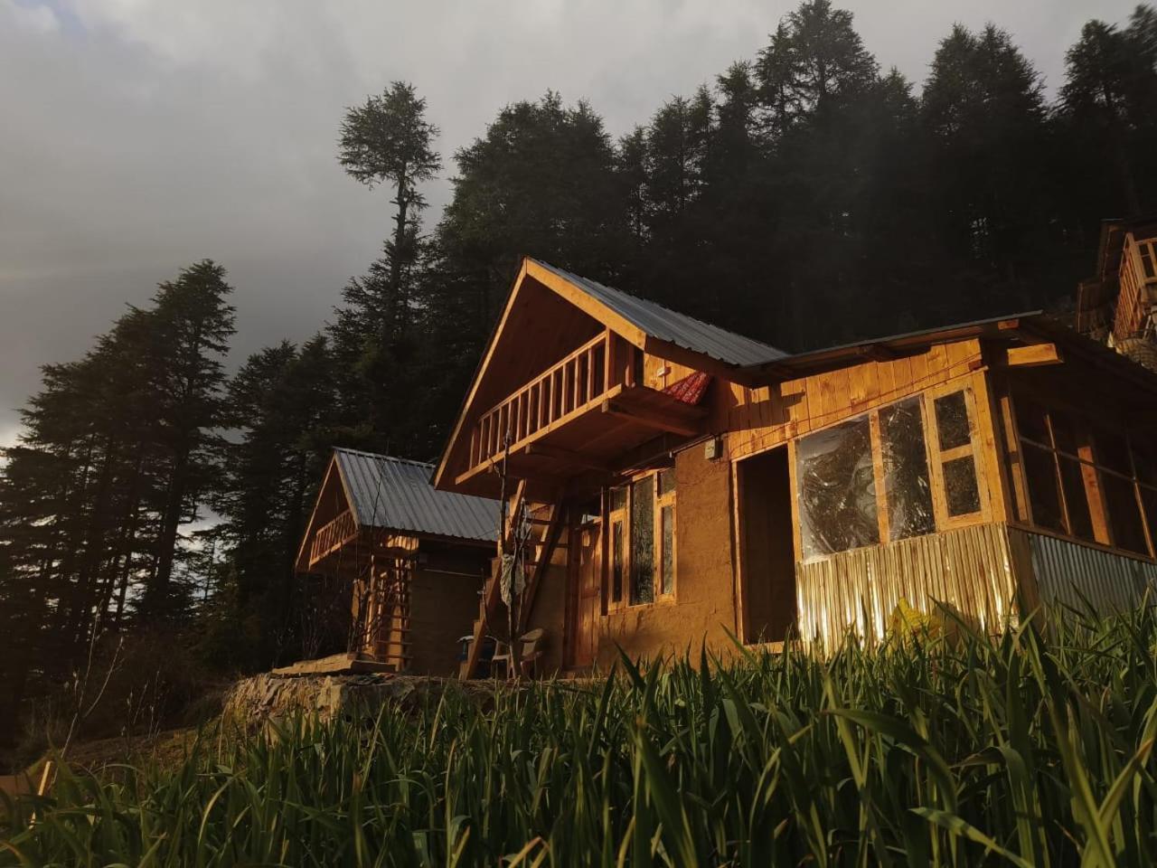 Villa Deep In Woods Jibhi Esterno foto