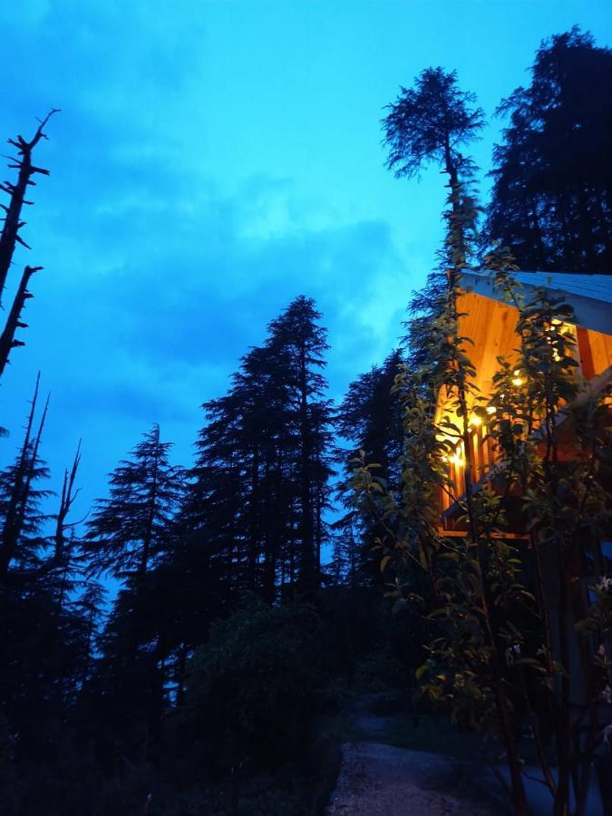 Villa Deep In Woods Jibhi Esterno foto