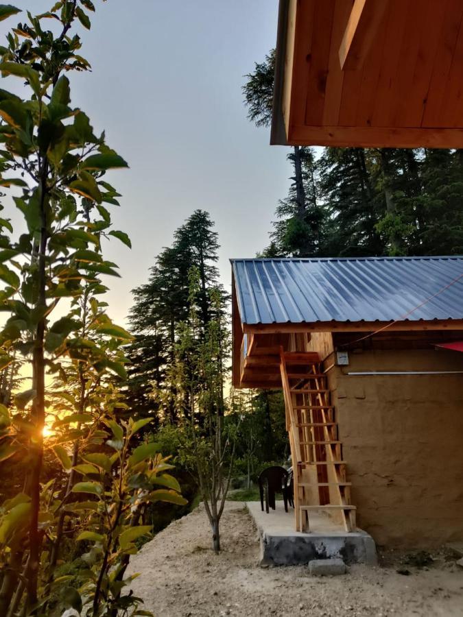 Villa Deep In Woods Jibhi Esterno foto