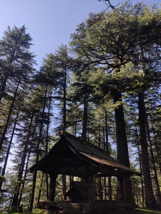 Villa Deep In Woods Jibhi Esterno foto