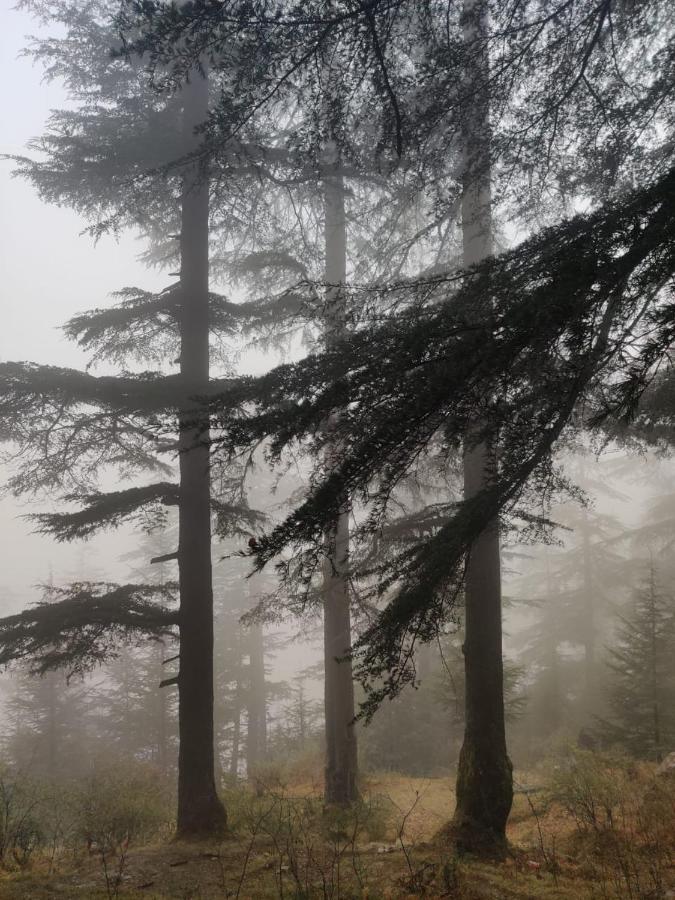 Villa Deep In Woods Jibhi Esterno foto