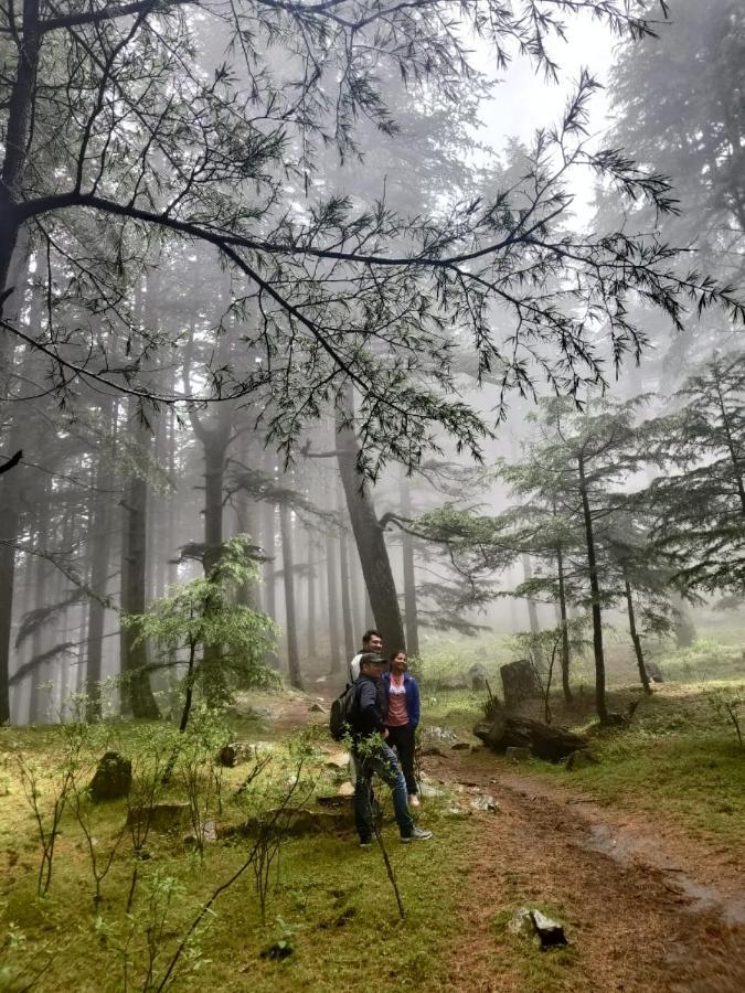 Villa Deep In Woods Jibhi Esterno foto