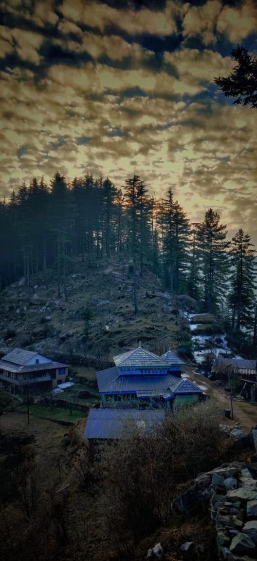 Villa Deep In Woods Jibhi Esterno foto