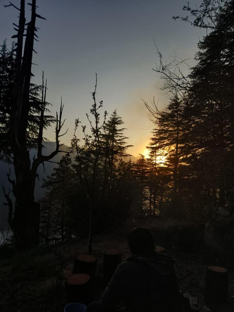 Villa Deep In Woods Jibhi Esterno foto